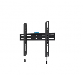 Neomounts Wall mount | WL30S-850BL14 TV mount | Micro adjustment | 32-75 " | Maximum weight (capacity) 50 kg | Black