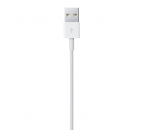 Kabelis Apple Lightning USB 1m