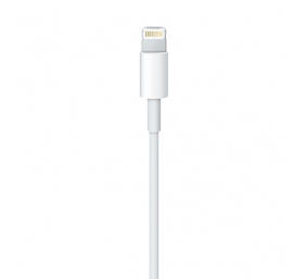 Kabelis Apple Lightning USB 1m