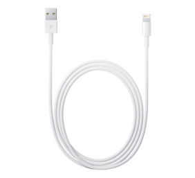 Kabelis Apple Lightning USB 1m