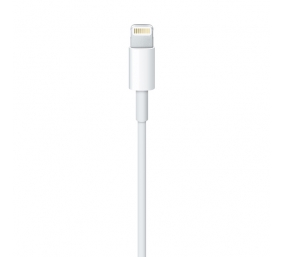 Kabelis Apple Lightning USB 1m  (MQUE2ZM/A)