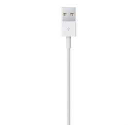 Apple Lightning to USB cable (2 m)  (MD819ZM/A)