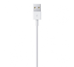 Kabelis Apple Lightning to USB cable (0,5m)