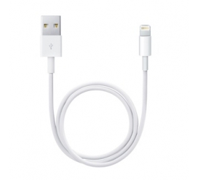 Kabelis Apple Lightning to USB cable (0,5m)