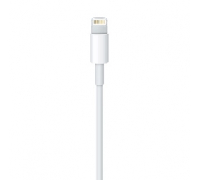 Kabelis Apple Lightning to USB cable (0,5m)