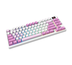 MSI FORGE GK600 TKL WIRELESS VIOLET | Gaming keyboard | Wireless | US | 2.4 GHz Wireless, Bluetooth, USB 2.0 | Mechanical Linear