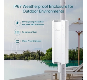 TP-Link EAP650-OUTDOOR AX3000 Indoor/Outdoor Wi-Fi 6 Prieigos taškas