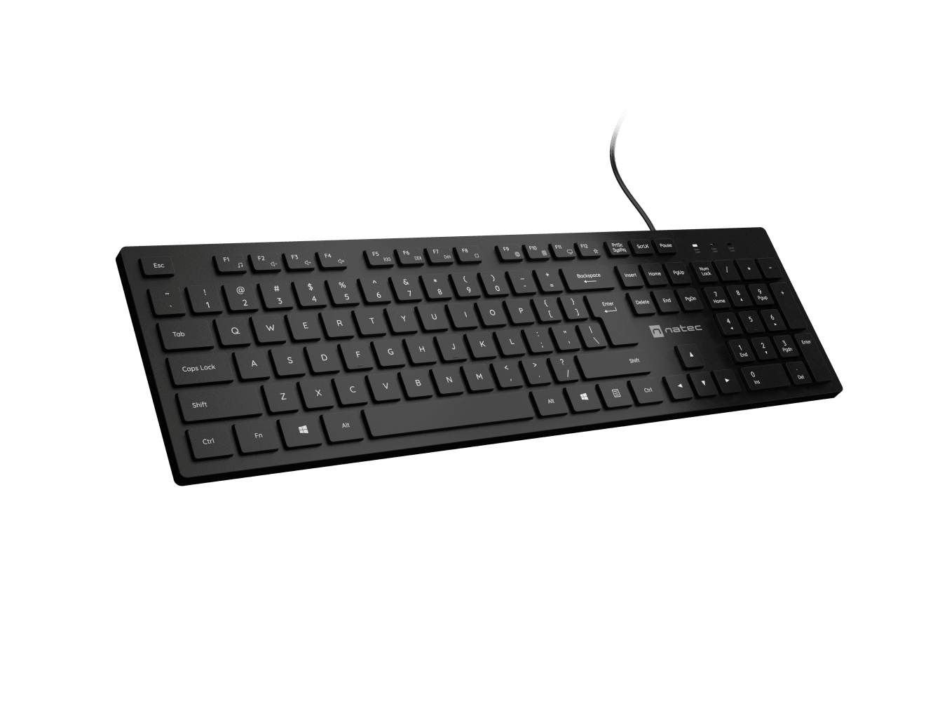 Natec | Herring | Keyboard | Wired | US | Black | USB-A