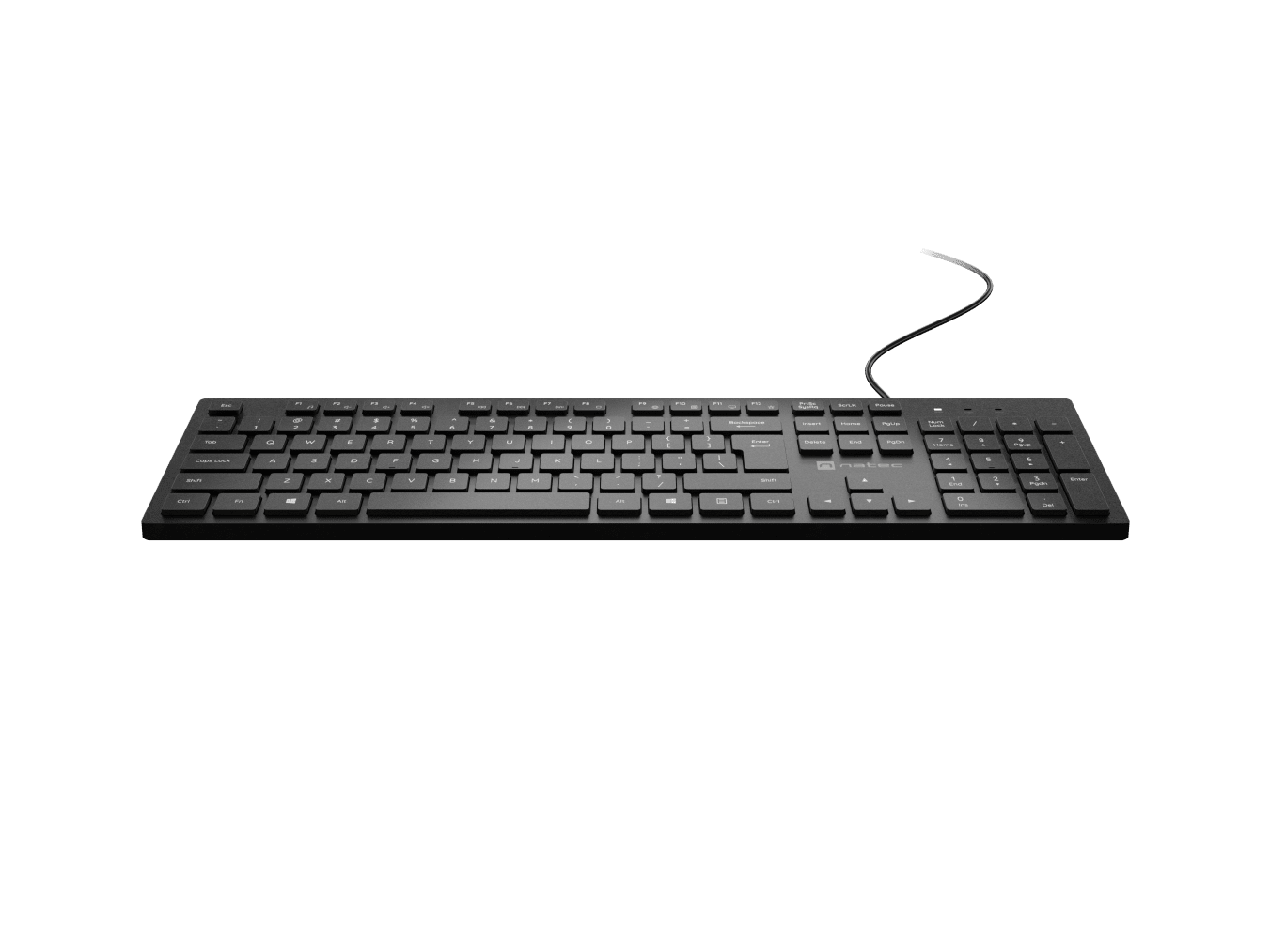Natec | Herring | Keyboard | Wired | US | Black | USB-A