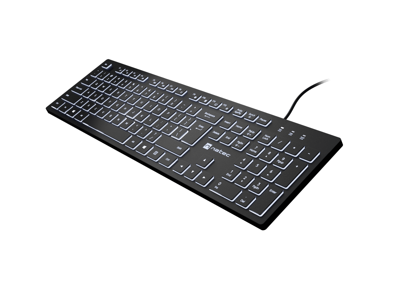 Natec | Herring Glow | Keyboard | Wired | US | Black | USB-A