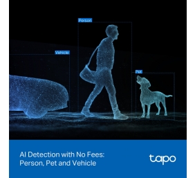 TP-LINK | Dual Lens Security Wi-Fi Camera | Tapo C545D | Dome | 3 MP | 6mm | IP66 | H.264 | MicroSD, up to 512 GB