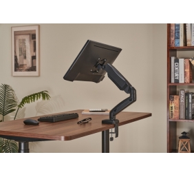 Up Up Premium Single Screen Monitoriaus laikiklis 17-32'', VESA 75x75, 100x100, Matinė juoda