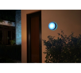 Philips Hue WCA Daylo Outdoor Wall Lantern, Inox | 15 W | 2000-6500 Hue White Colour Ambiance