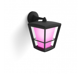 Philips Hue WCA Econic Outdoor Wall Lantern | 15 W | 2000-6500 Hue White Colour Ambiance