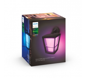 Philips Hue WCA Econic Outdoor Wall Lantern | 15 W | 2000-6500 Hue White Colour Ambiance
