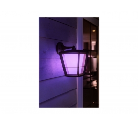 Philips Hue WCA Econic Outdoor Wall Lantern | 15 W | 2000-6500 Hue White Colour Ambiance