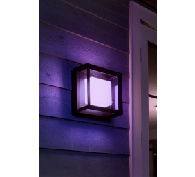 Philips Hue WCA Econic Outdoor Square Wall Lantern | 15 W | 2000-6500 Hue White Colour Ambiance