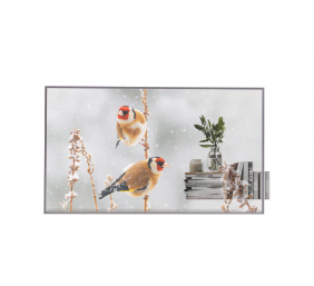 LG | Digital Signage | 55EW5P | 55 " | Landscape/Portrait | 18/7 | webOS | Transparent | 600 cd/m² | 8 ms | 178 ° | 178 °