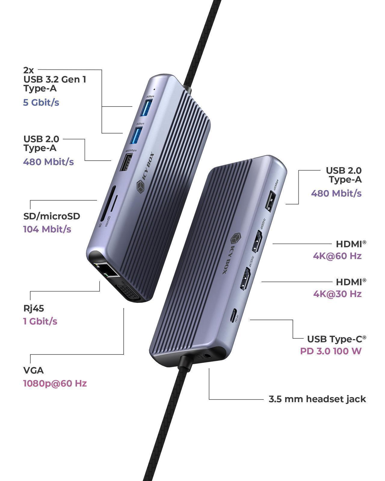 Raidsonic Icy Box Travel Dock 12-in-1, 3x video output (2x HDMI + 1x VGA) | IB-DK4062-CPD