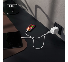 Digitus Battery charger, 100W | DA-10304