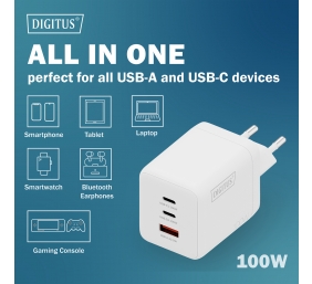 Digitus Battery charger, 100W | DA-10304
