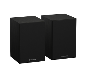 Genesis | Speakers | Arsen 302BT | 20 W | Bluetooth | Black | Wireless connection