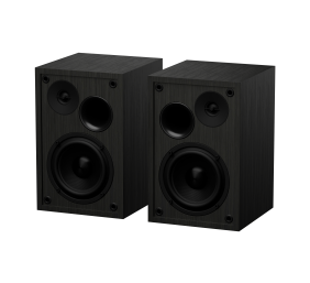 Genesis | Speakers | Arsen 302BT | 20 W | Bluetooth | Black | Wireless connection