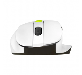Asus Mouse | MD105 | Wireless | Bluetooth, 2.4GHz | Volt Green