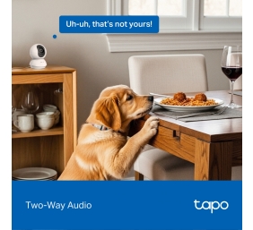 TP-LINK Tapo C250 | Pan/Tilt AI Home Security Wi-Fi Camera | PTZ | 8 MP | 4mm/F1.6 | H.265 | MicroSD Card up to 512 GB