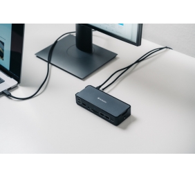 Verbatim 32171 CDS-15 USB-C Pro Jungčių stotelė 15 Ports, Pilka/Juoda