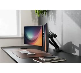 Digitus Desk Mount | Tilt, rotation, pivot | Dual design monitor mount, 2x 35", 2x 10 kg | 35 " | Maximum weight (capacity) 20 kg | Black