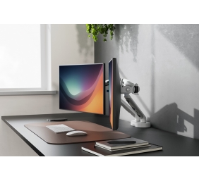 Digitus Desk Mount | Tilt, rotation, pivot | Dual design monitor mount, 2x 35", 2x 10 kg | 35 " | Maximum weight (capacity) 20 kg | White