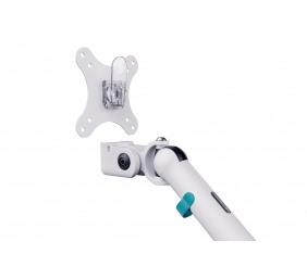 Digitus Desk Mount | Tilt, rotation, pivot | Dual design monitor mount, 2x 35", 2x 10 kg | 35 " | Maximum weight (capacity) 20 kg | White