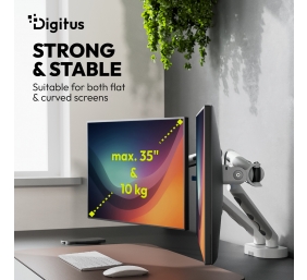 Digitus Desk Mount | Tilt, rotation, pivot | Dual design monitor mount, 2x 35", 2x 10 kg | 35 " | Maximum weight (capacity) 20 kg | White