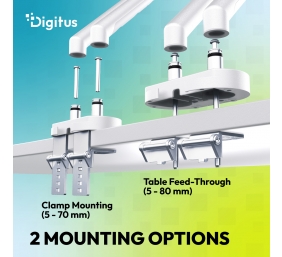 Digitus Desk Mount | Tilt, rotation, pivot | Dual design monitor mount, 2x 35", 2x 10 kg | 35 " | Maximum weight (capacity) 20 kg | White