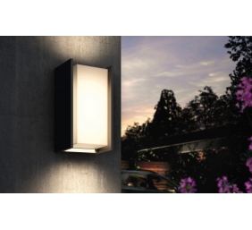 Philips Hue Turaco Outdoor Wall Lantern | E27 | 9 W | Warm white