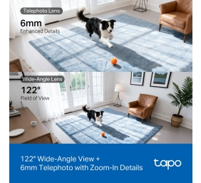TP-LINK Tapo C245D | Dual Lens Pan/Tilt Security Camera | Dome | 3 MP | 3.1mm/F1.6 | MicroSD Card up to 512 GB