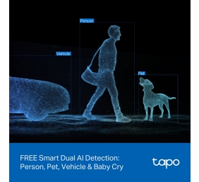 TP-LINK Tapo C245D | Dual Lens Pan/Tilt Security Camera | Dome | 3 MP | 3.1mm/F1.6 | MicroSD Card up to 512 GB