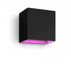 Philips Hue WCA Resonate Outdoor Downward Wall Lantern, Black | 8 W | 2000-6500 Hue White Colour Ambiance