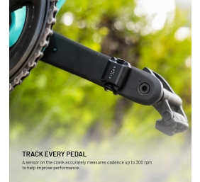 Fixed | Cadence/Speed Sensor Spin | Bluetooth | Black