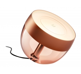 Philips Hue | Hue Iris Portable Lamp, Copper Special Edition | Copper/brass | Portable lamp