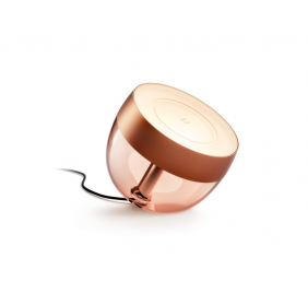 Philips Hue | Hue Iris Portable Lamp, Copper Special Edition | Copper/brass | Portable lamp