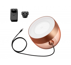 Philips Hue | Hue Iris Portable Lamp, Copper Special Edition | Copper/brass | Portable lamp