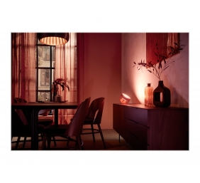 Philips Hue | Hue Iris Portable Lamp, Copper Special Edition | Copper/brass | Portable lamp