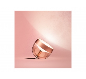 Philips Hue | Hue Iris Portable Lamp, Copper Special Edition | Copper/brass | Portable lamp