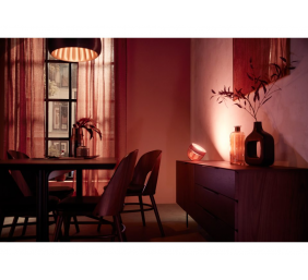 Philips Hue | Hue Iris Portable Lamp, Copper Special Edition | Copper/brass | Portable lamp