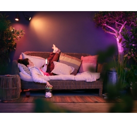 Philips Hue WCA Lily Outdoor Spot Light Extension 24V | 8 W | 2000-6500 Hue White Colour Ambiance