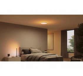 Philips Hue Datura Ceiling Light Small 38.4cm | 48 W