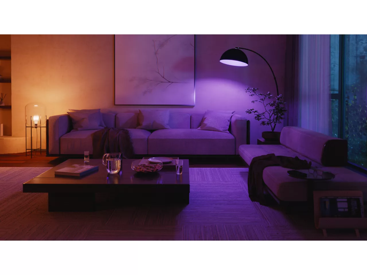 Philips Hue WCA A60 E27 2KIT SW Pro EU | E27 | White and colored light