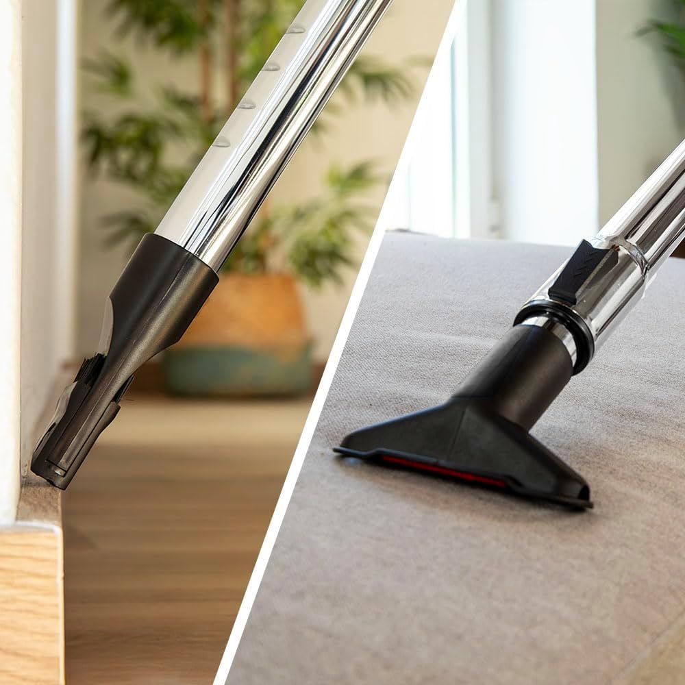 Cecotec Vacuum cleaner | The Conga Rockstar Cyclonic Plus | Bagless | Dust capacity 2 L | Power 800 W | Black